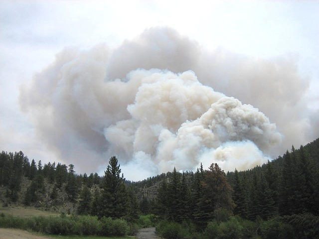 Κλιματική αλλαγή: Ο Καναδάς κινδυνεύει με ακόμη περισσότερες καταστροφικές πυρκαγιές