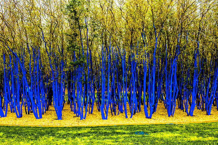 001 the blue trees houston