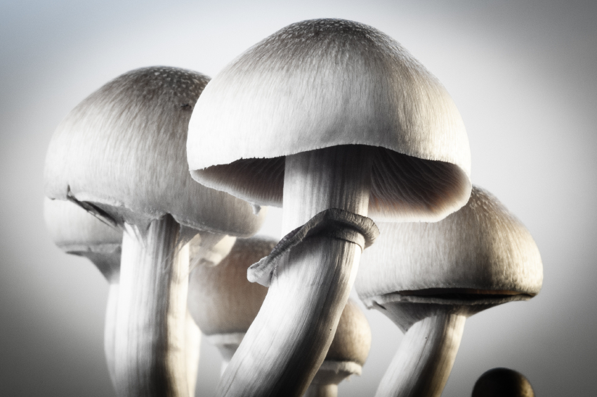 Can magic mushrooms treat depression
