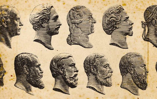 types of beardsολδ