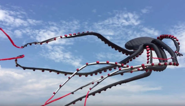 Giant Octopus Kite flying 1 640x369