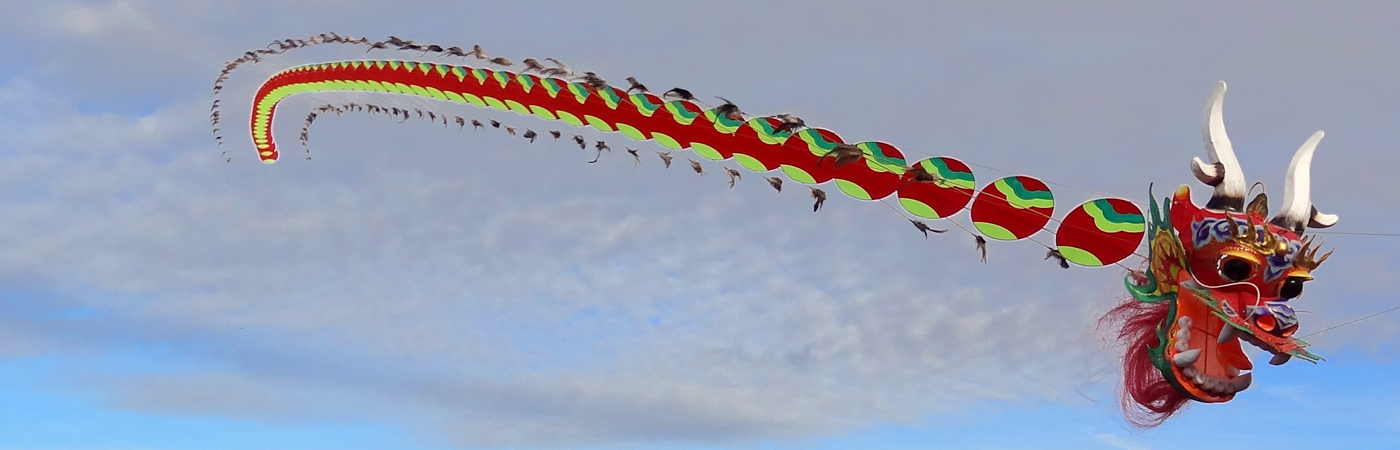 dragon kite 1400