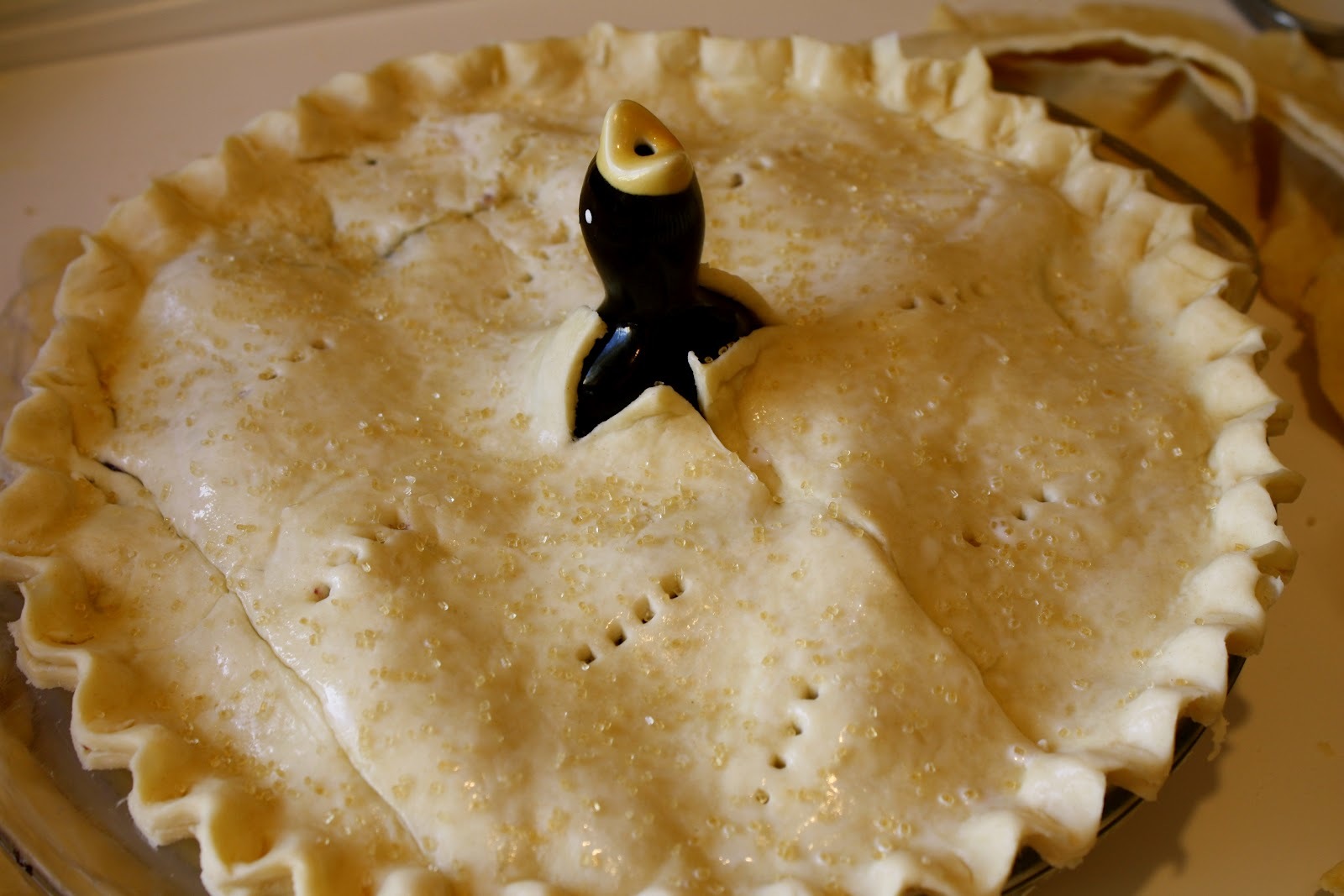 pie bird