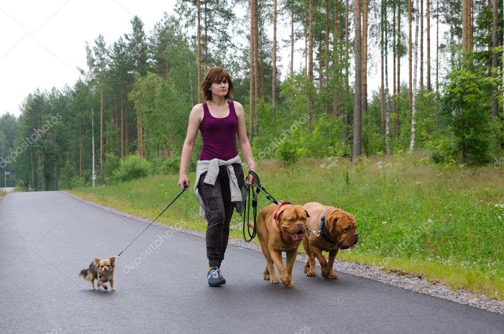 depositphotos 13815552 stock photo a girl and her dogs