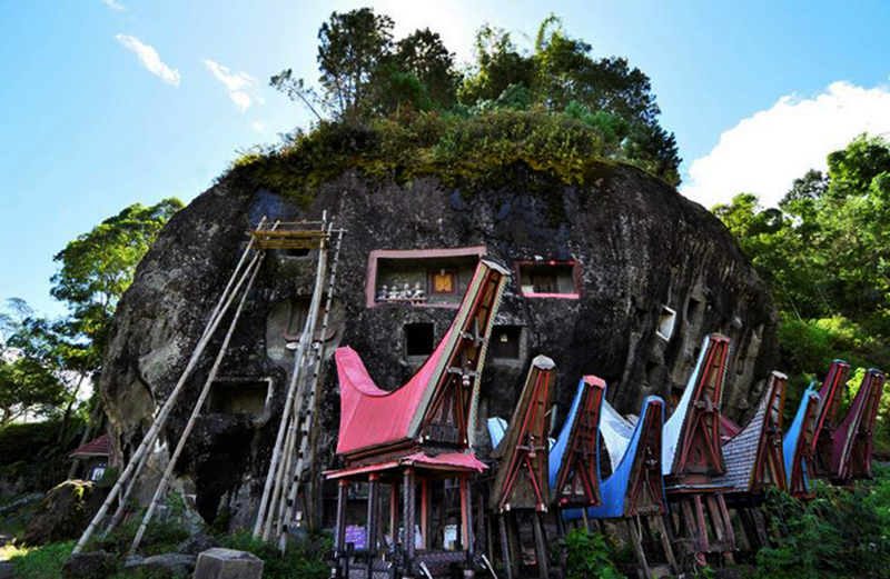 toraja