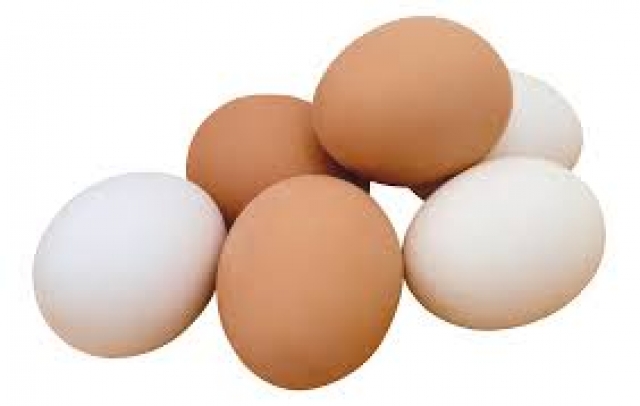 Τι ρόλο παίζει το χρώμα και το μέγεθος ενός αυγού