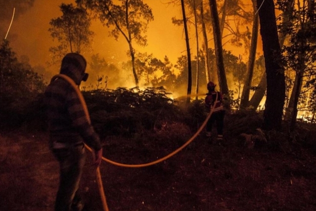 Το λόμπι του χαρτιού πίσω από την φονική φωτιά στην Πορτογαλία;