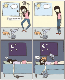 Η ζωή με μια γάτα σε σκίτσα
