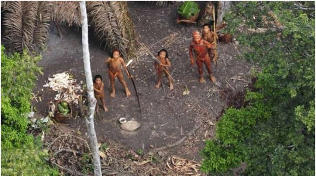 Άγρια σφαγή μελών μιας φυλής αυτοχθόνων στον Αμαζόνιο