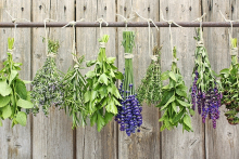 7 θαυματουργά βότανα για βαθιές αναπνοές και καθαρά πνευμόνια