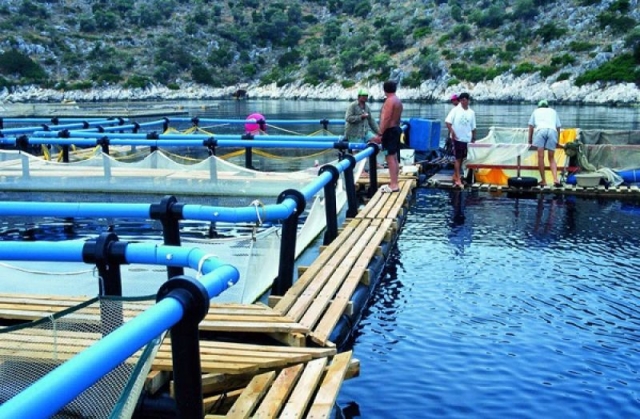 €523,4 εκατ. για τους τομείς αλιείας και υδατοκαλλιέργειας στην Ελλάδα