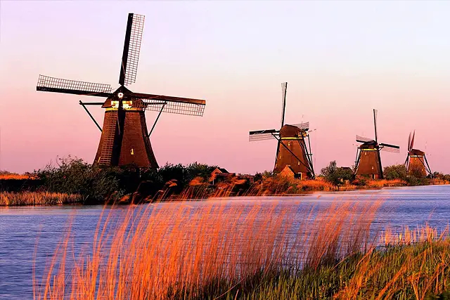 Υπάρχουν και ευτυχισμένες χώρες: Η Ολλανδία αυξάνει τα δάση της