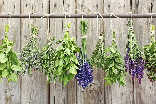 7 θαυματουργά βότανα για βαθειές αναπνοές και καθαρά πνευμόνια