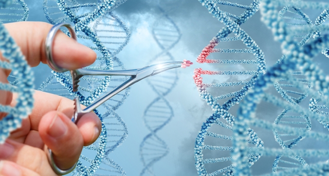 Επιστήμη: DNA Νεάντερταλ σε «μίνι εγκεφάλους»