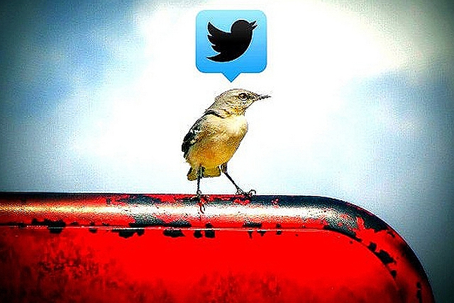 Θέλεις να είσαι αξιαγάπητος στο twitter; Ιδού το μυστικό!